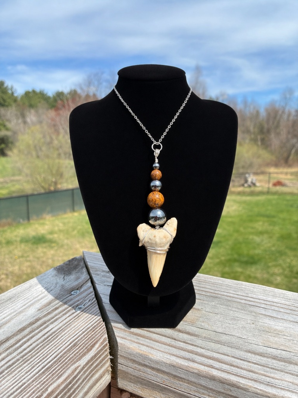 🦈 Otodus Shark Tooth Fossil Pendant ✨